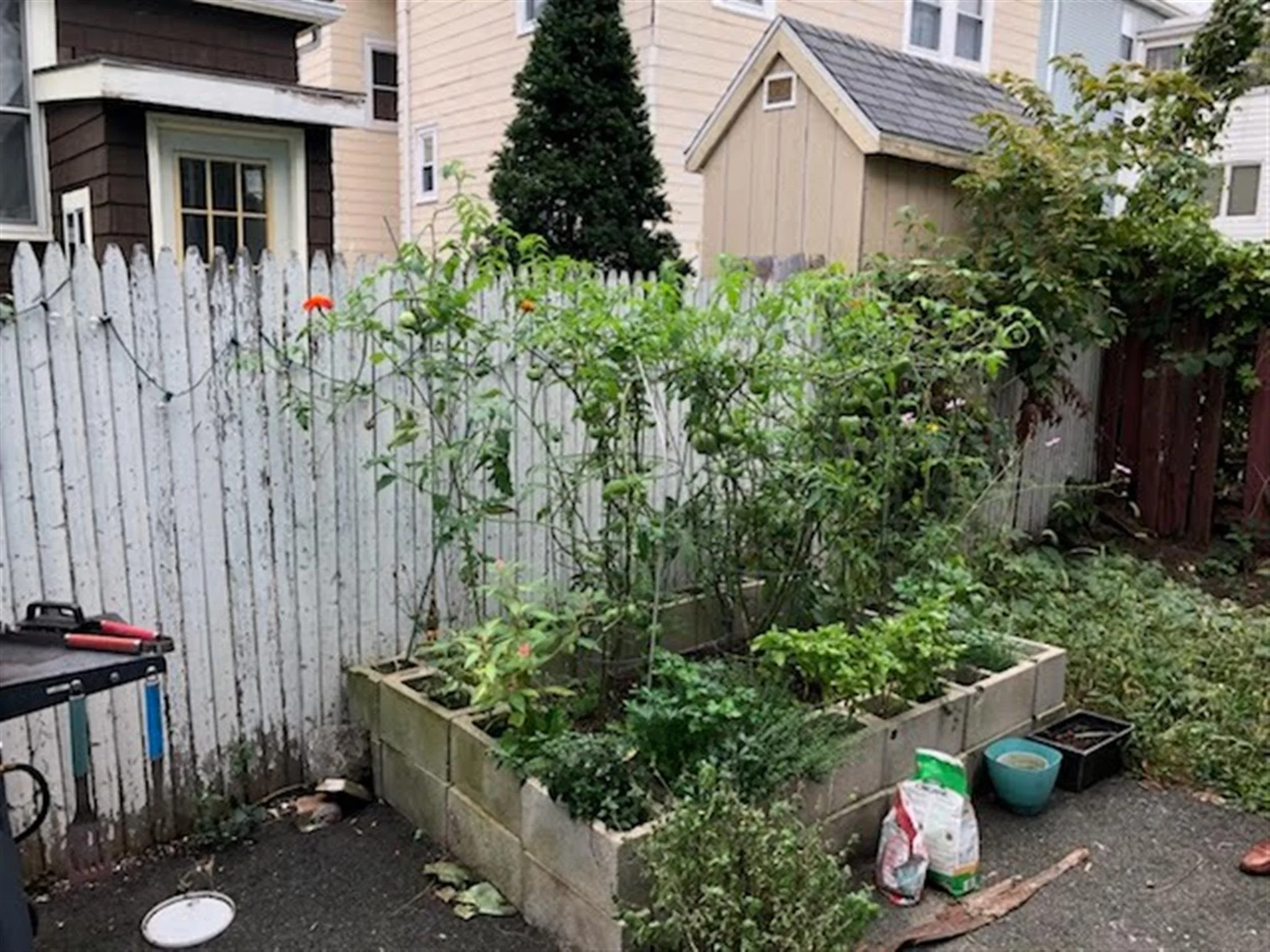 9 Lowell Ter, Magoun Square