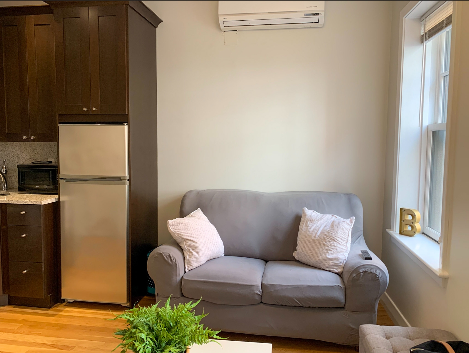 33 Anderson St, Beacon Hill