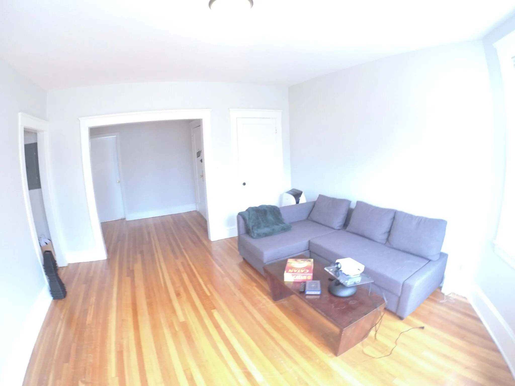 241 Freeman St, North Brookline