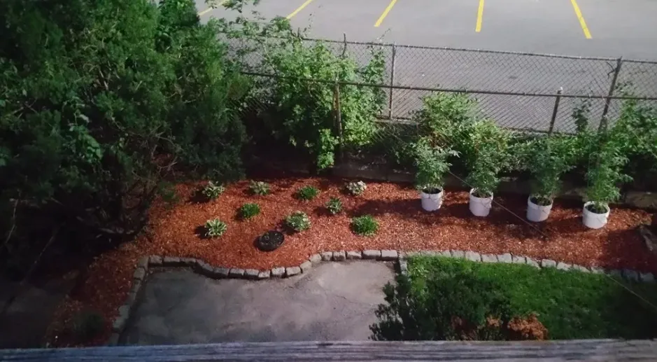 60 Homer Ave, West Cambridge