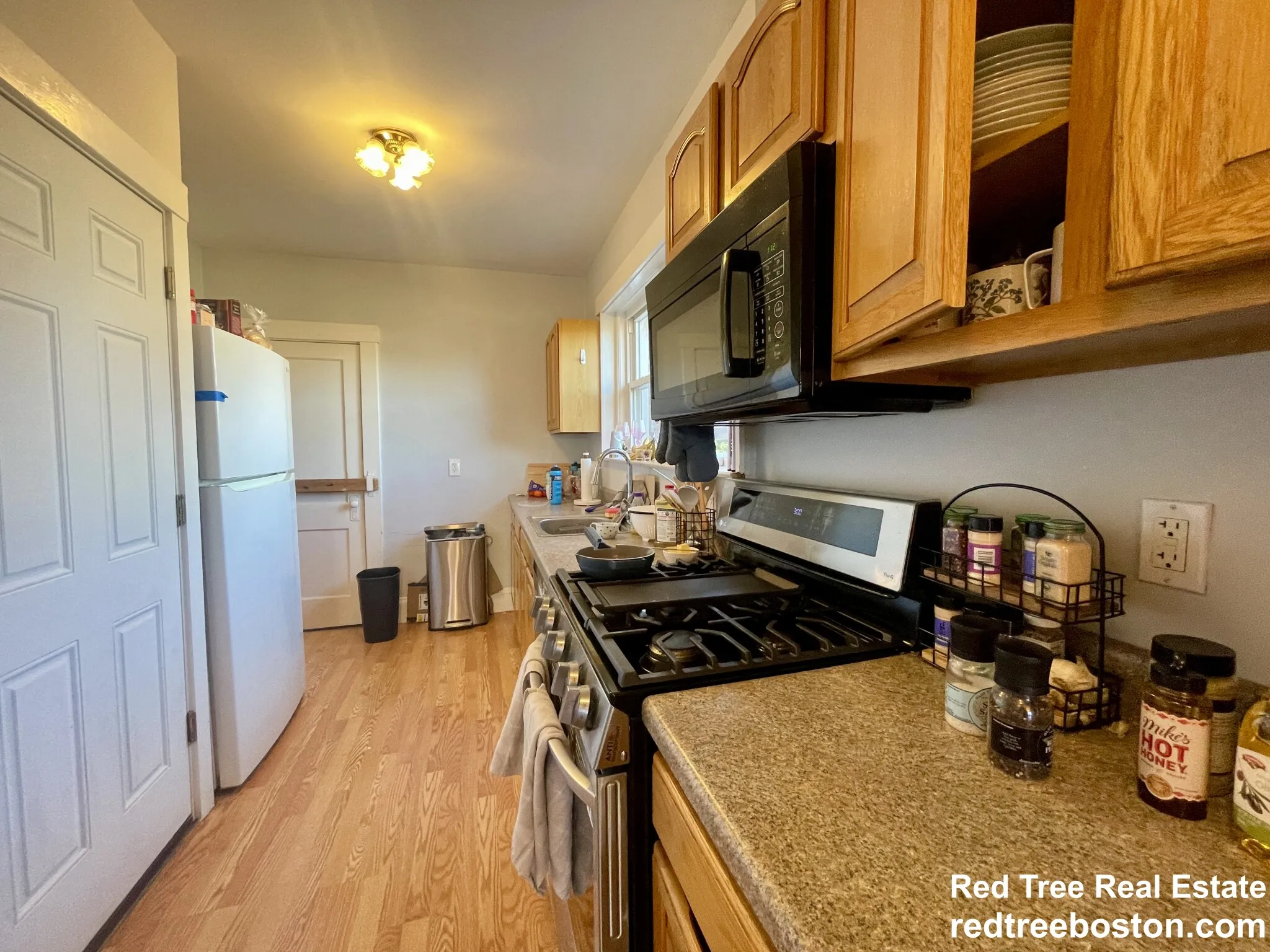 209 Chestnut Hill Ave, Brighton