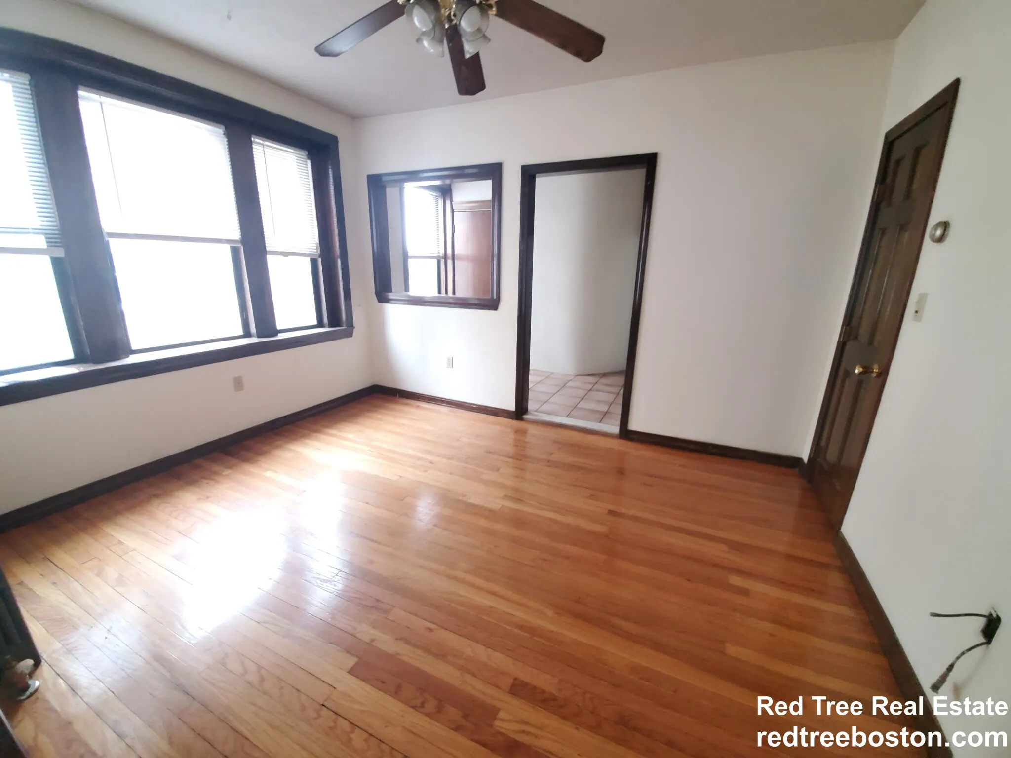 240 Kelton St, Brighton