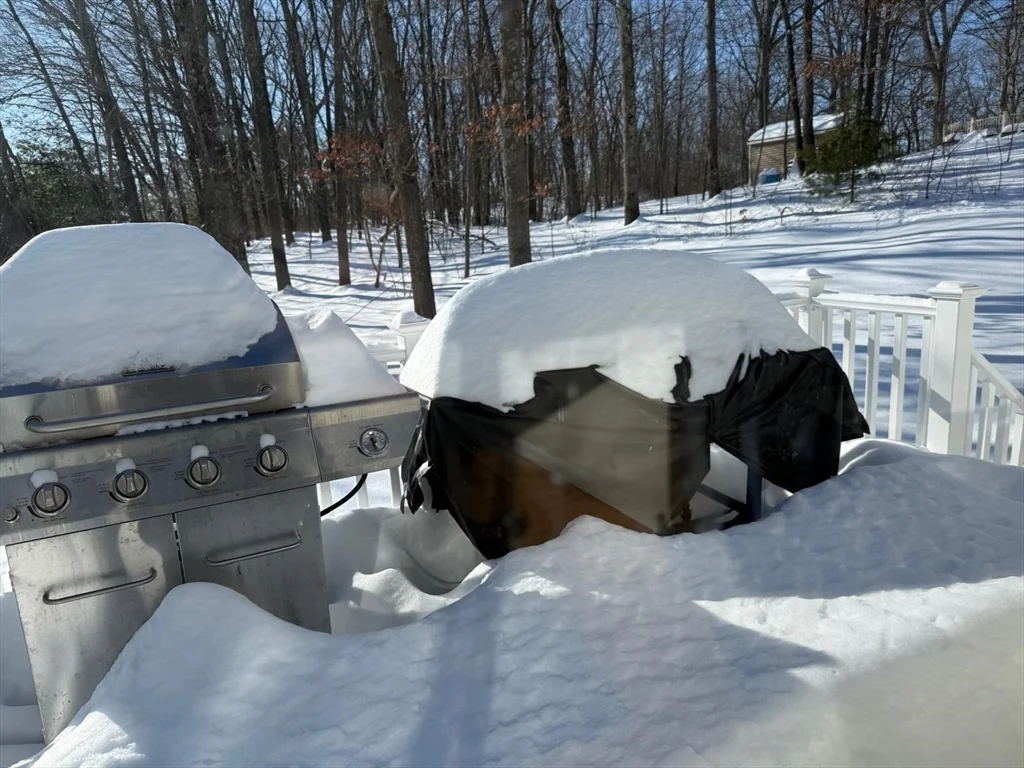 11 Bluegrass Ln, Shrewsbury