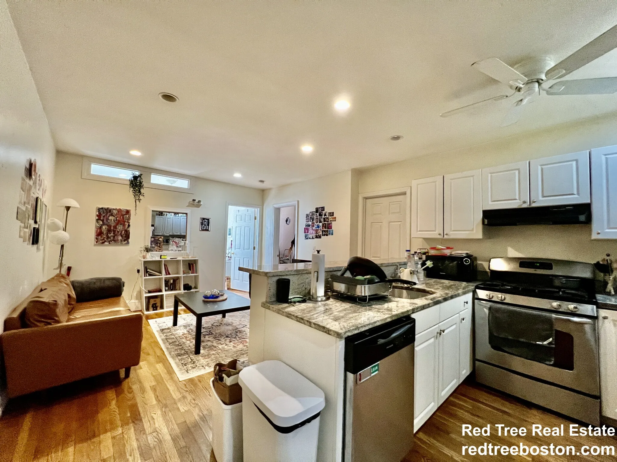 66 Egmont St, North Brookline