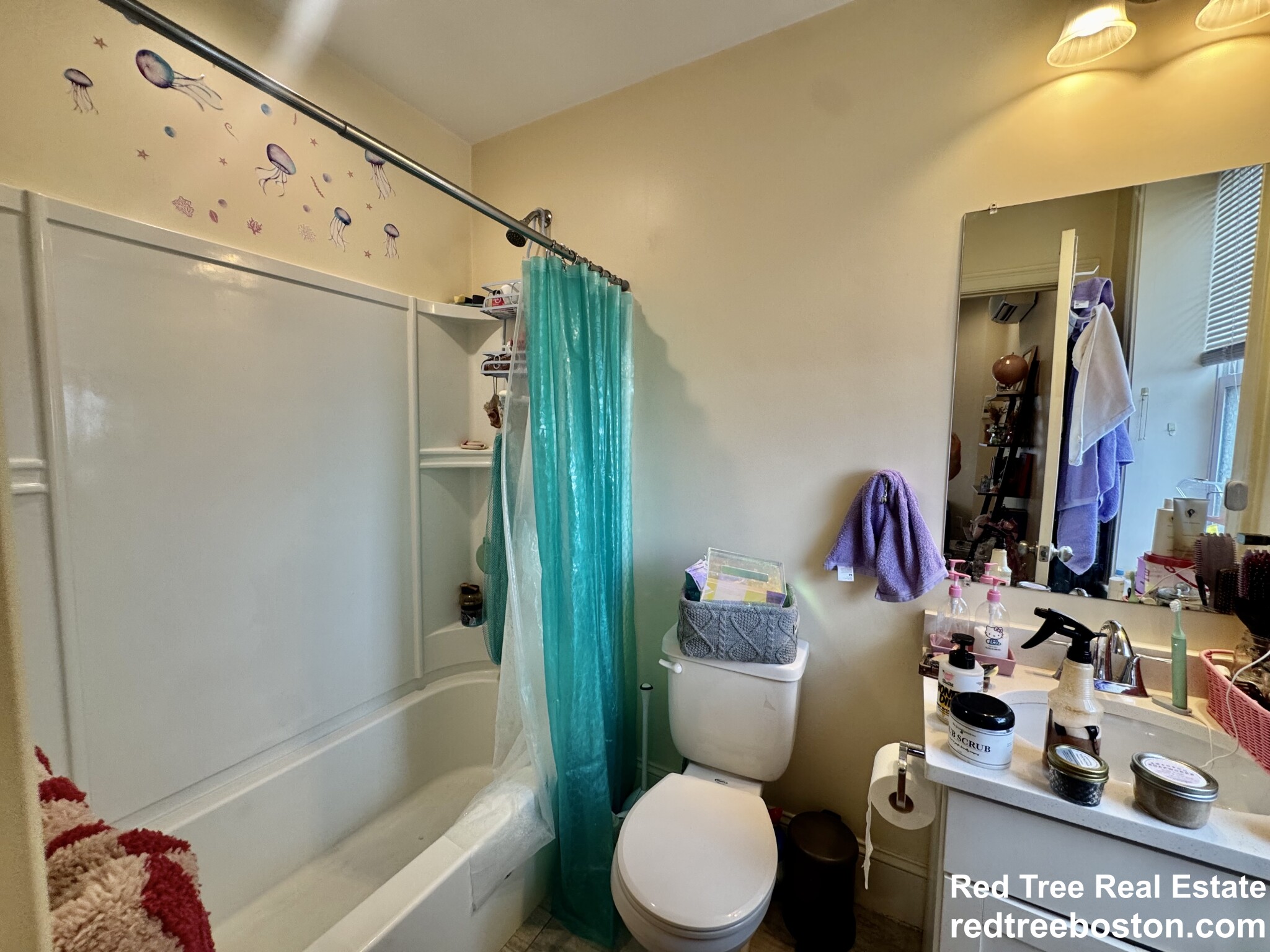 3 Edwin St, Dorchester