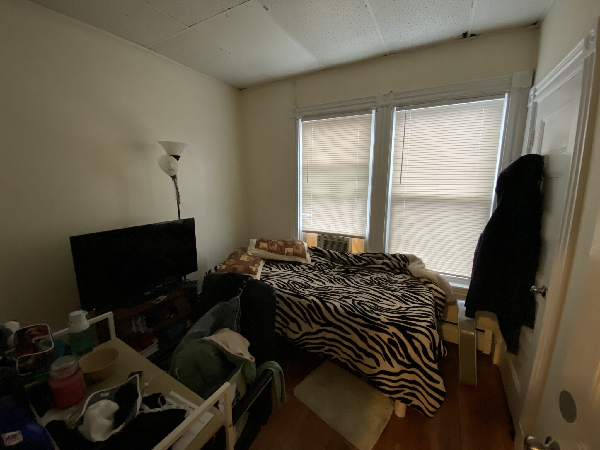 80 Hillside St, Mission Hill