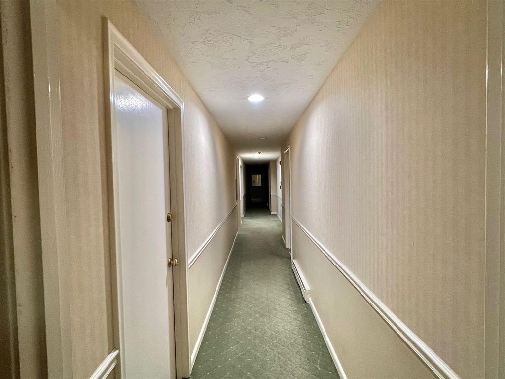 20 Hamilton Rd, Arlington