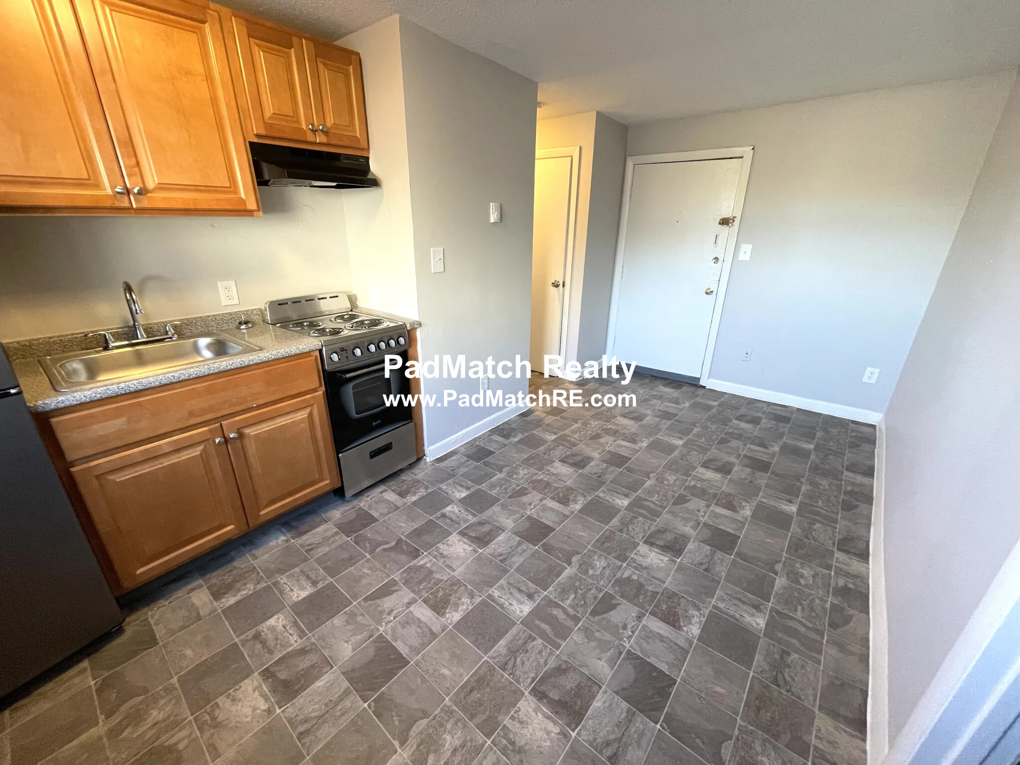 231 Harrison Ave, Chinatown