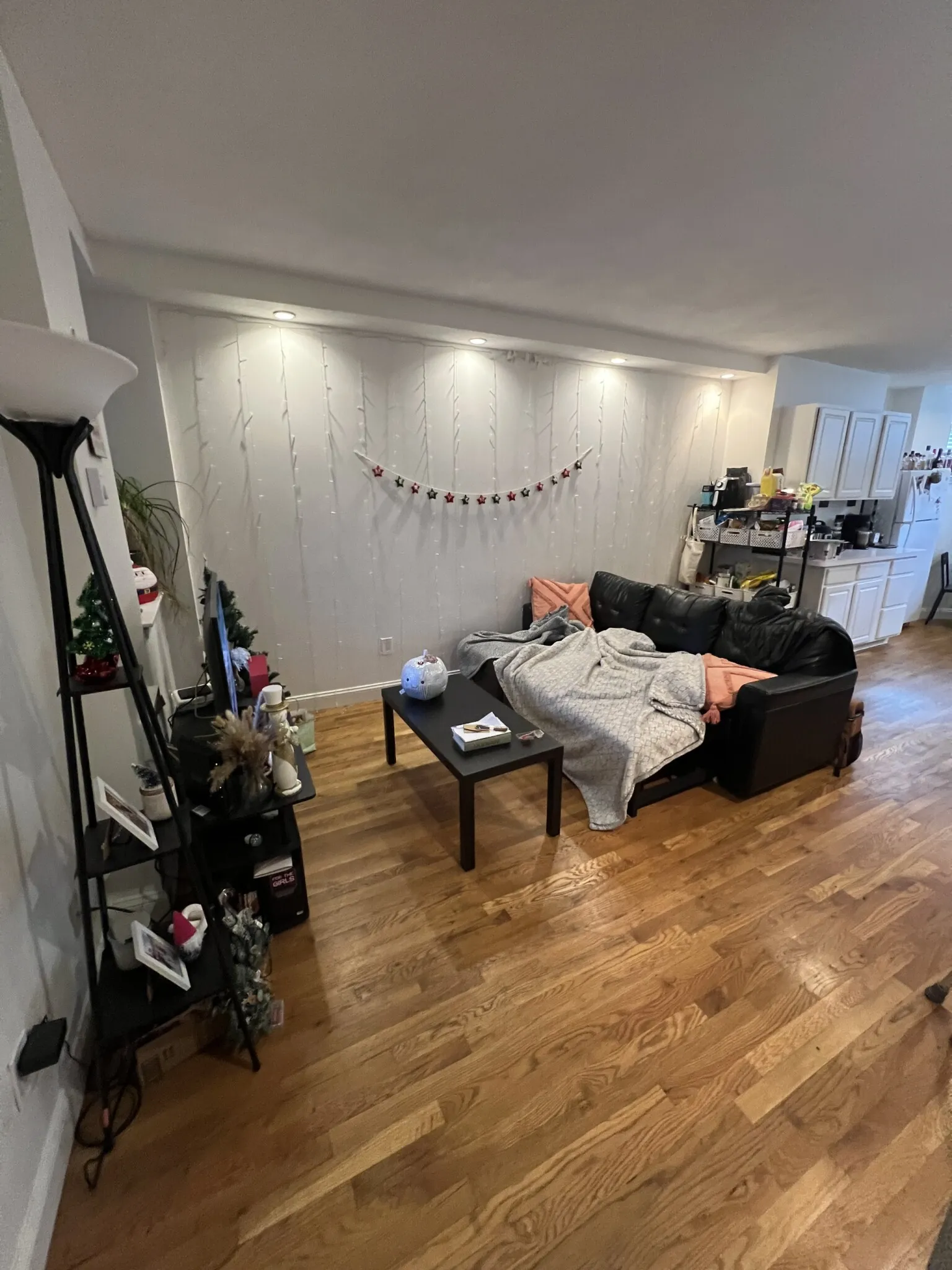 57 Westland Ave, Fenway