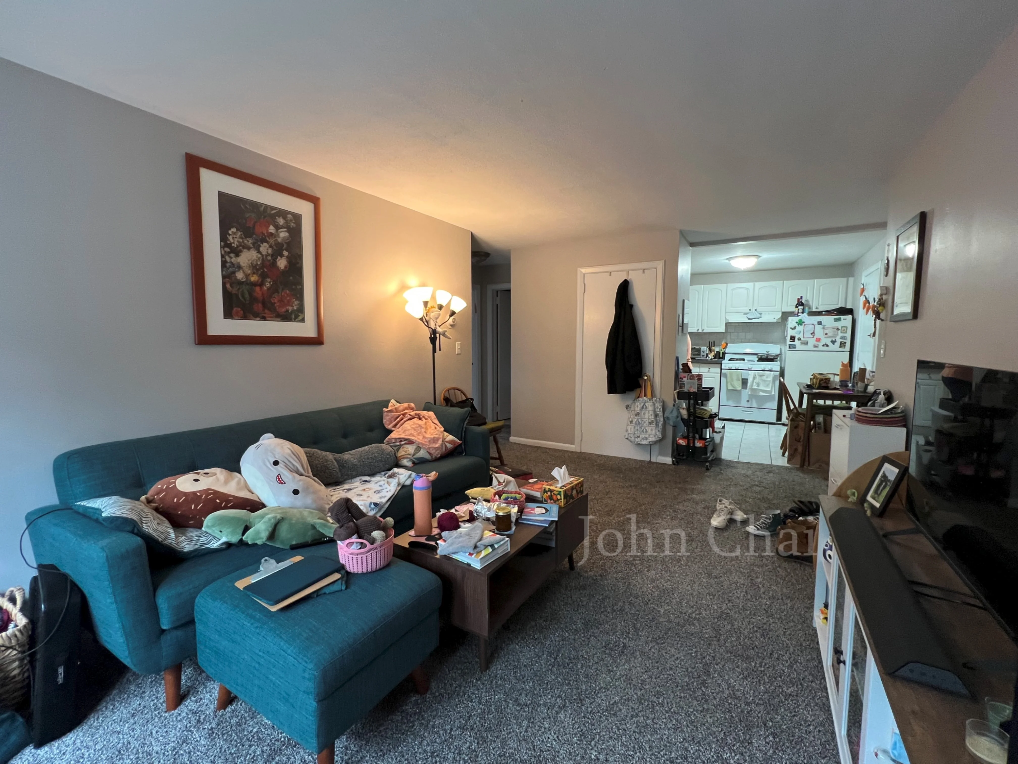 39 Shepard St, Brighton