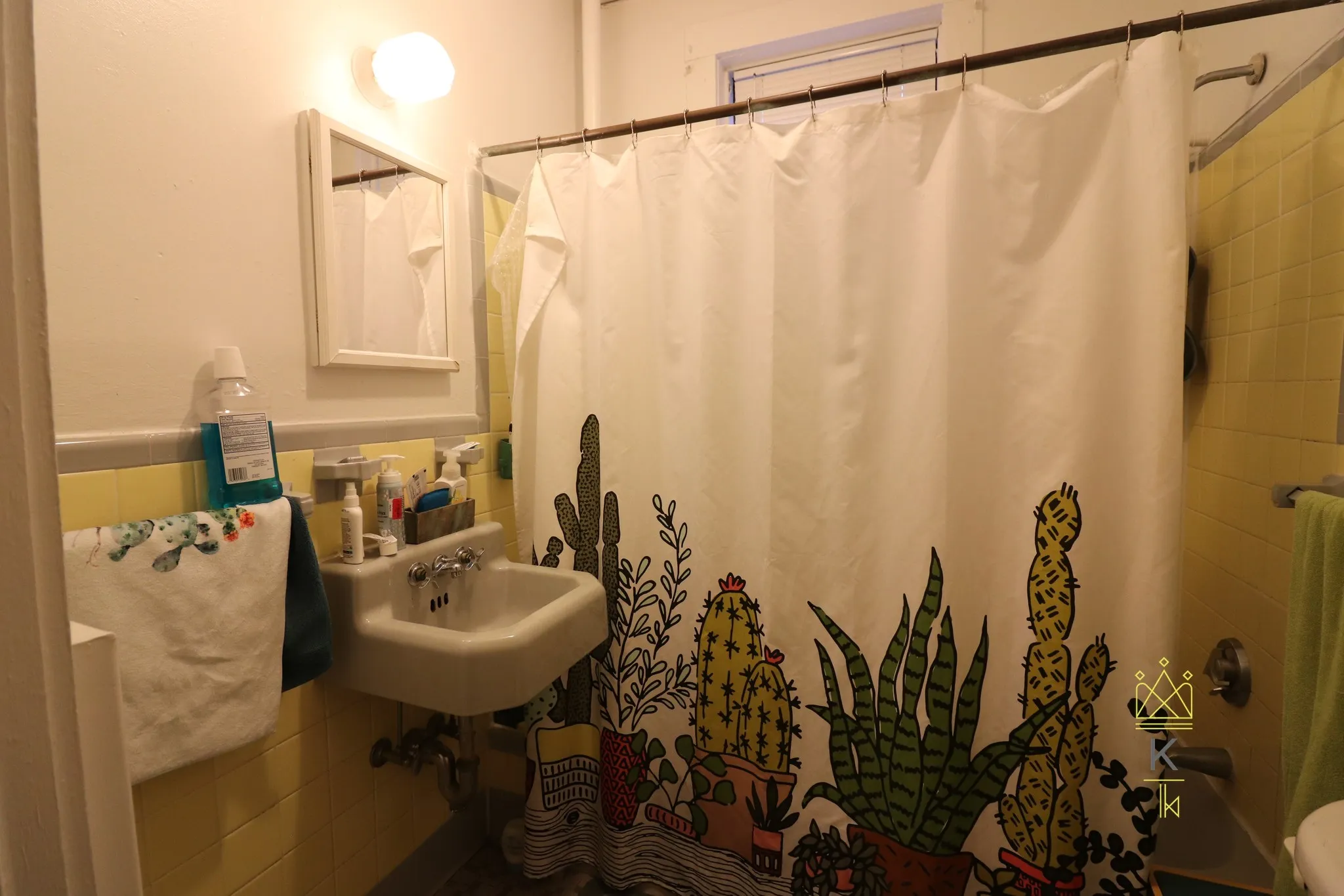 124 Babcock St, North Brookline