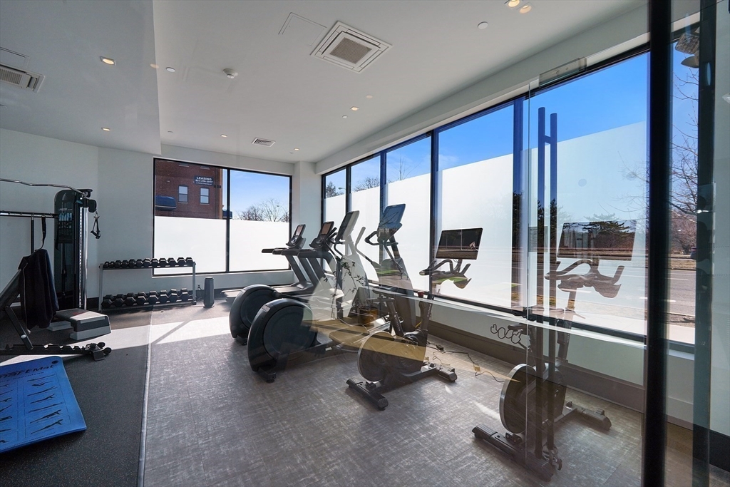 50 Leo M Birmingham Pkwy, Brighton