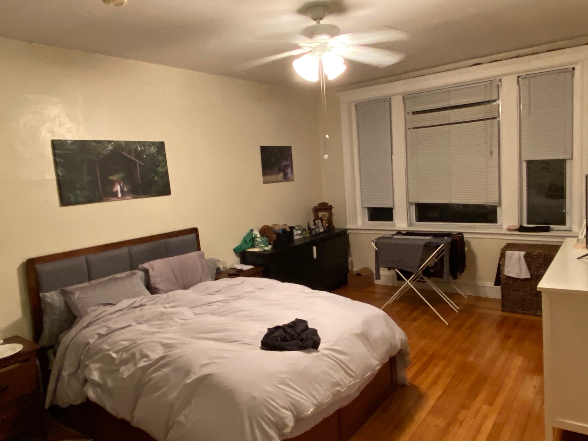 28 Littell Rd, Coolidge Corner