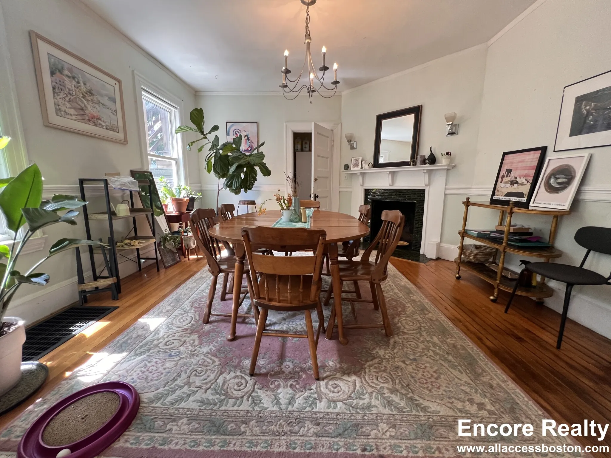 9 Kenwood St, North Brookline