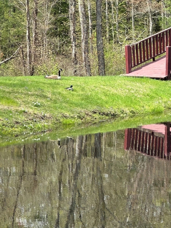 427 Silver St, Middleton