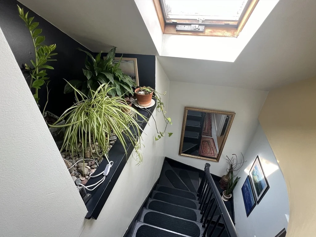 15 Orchard St, Newton