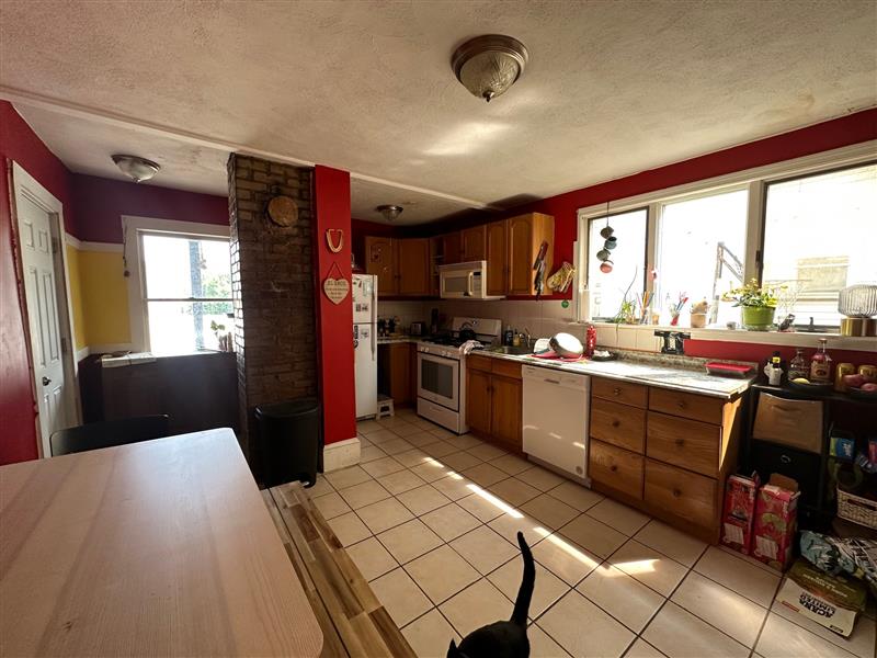 35 Edgar Ave, Winter Hill