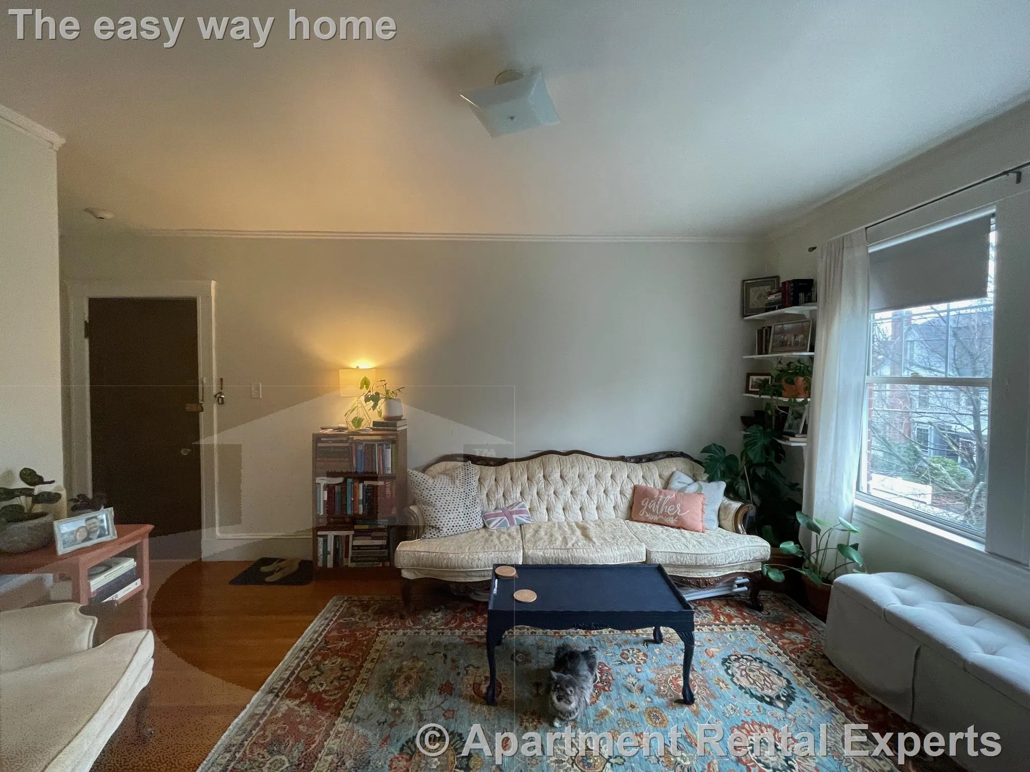 155 Summer St, Spring Hill