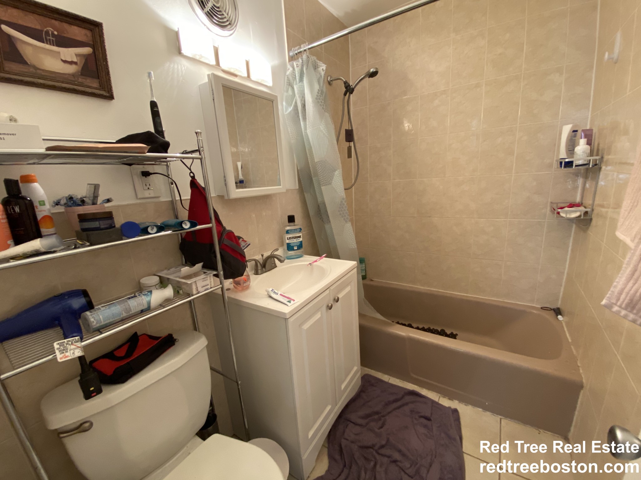 2 Larose Pl, Brighton