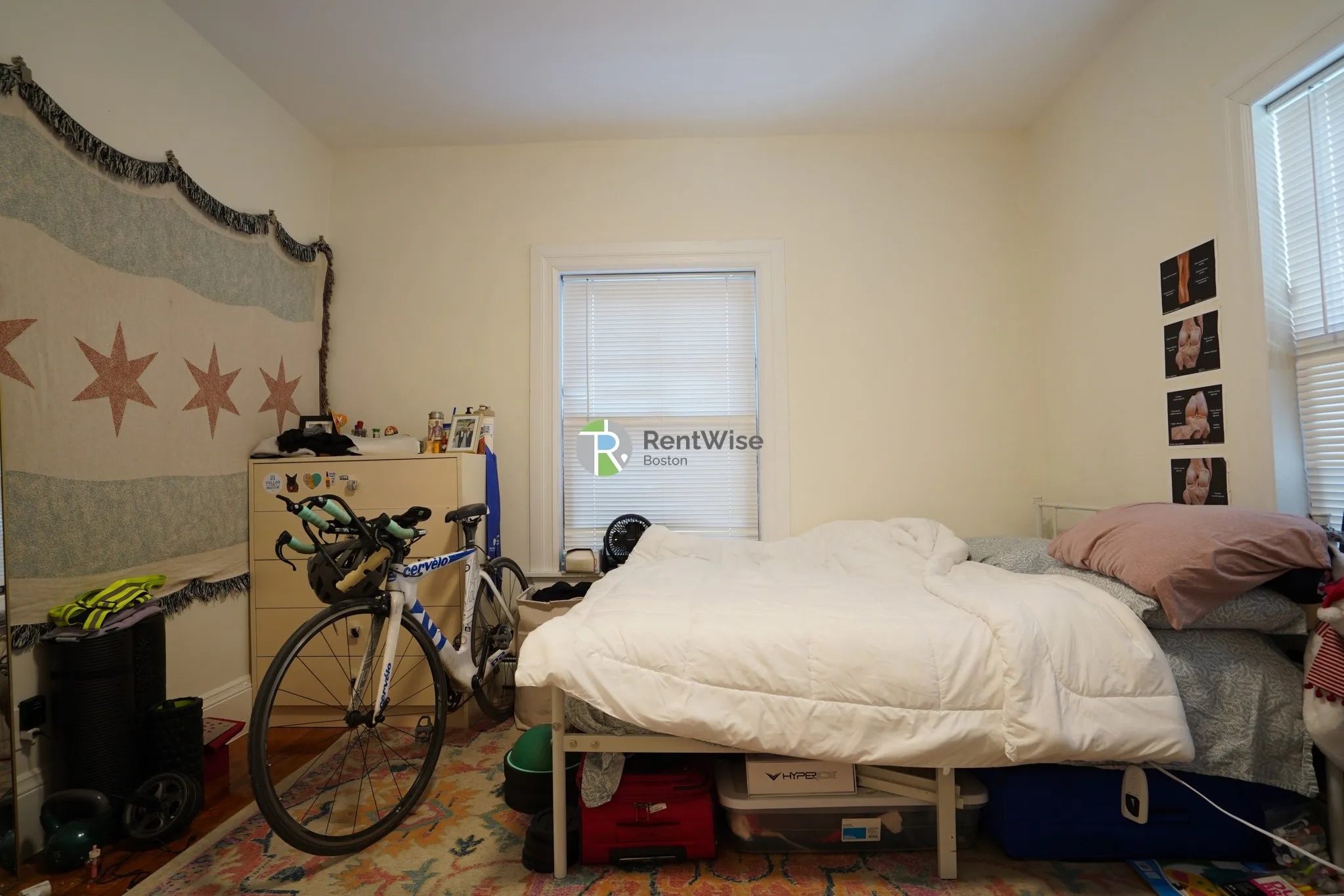 66 Chester St, Allston