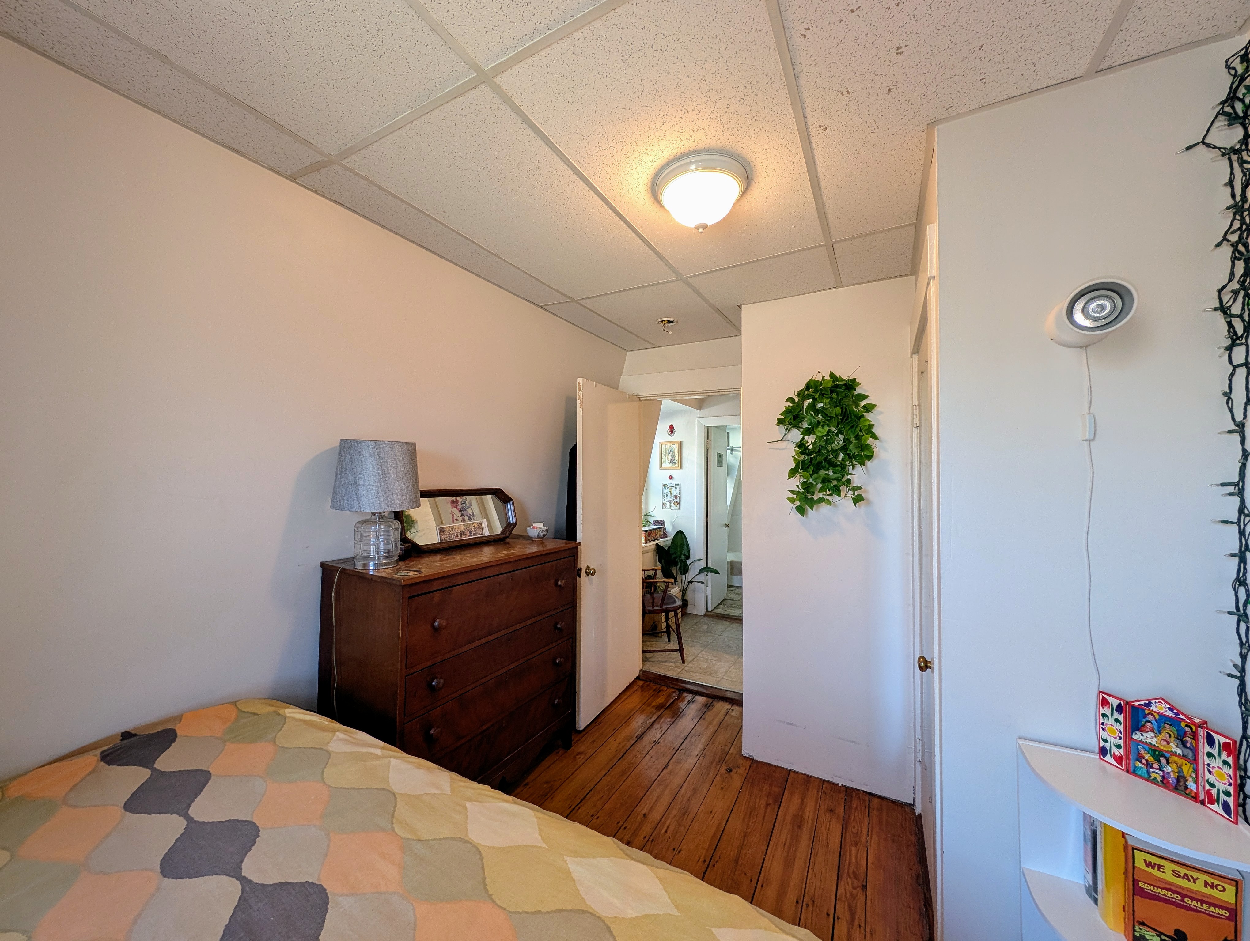 379 Windsor St, Wellington-Harrington