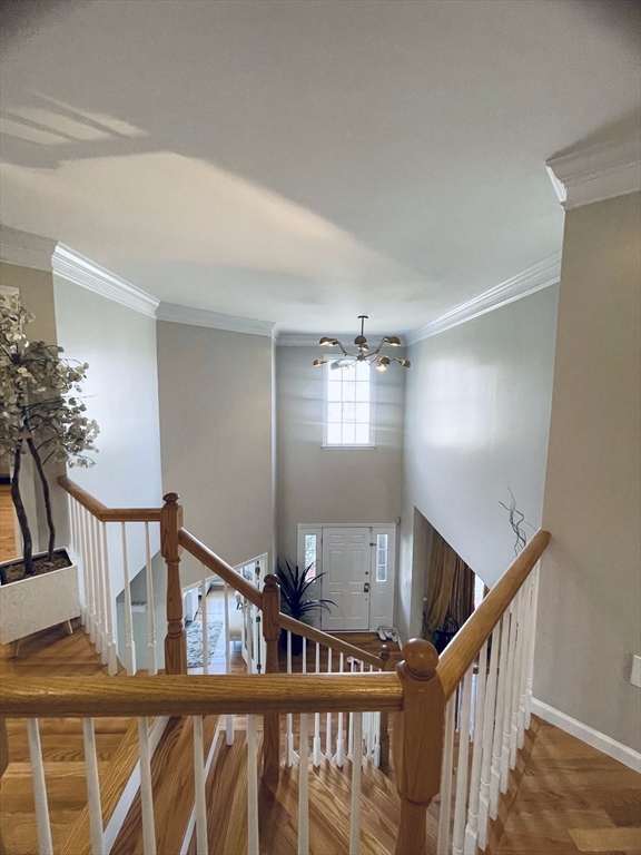 10 Sheryl Dr, Shrewsbury