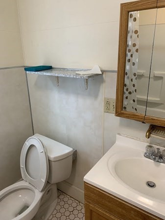 37 Grant Ave, Waverley