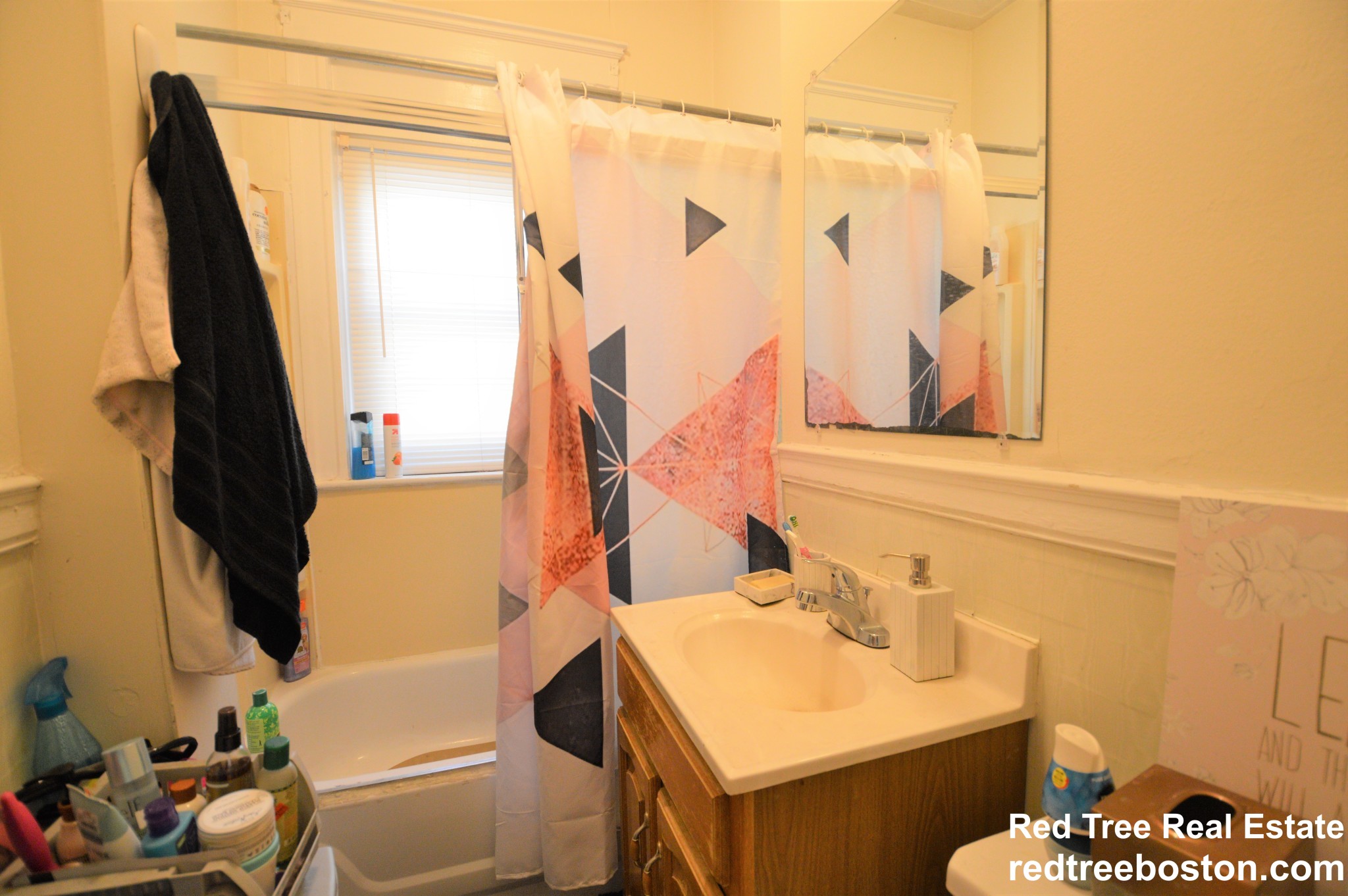 319 Allston St, Brighton