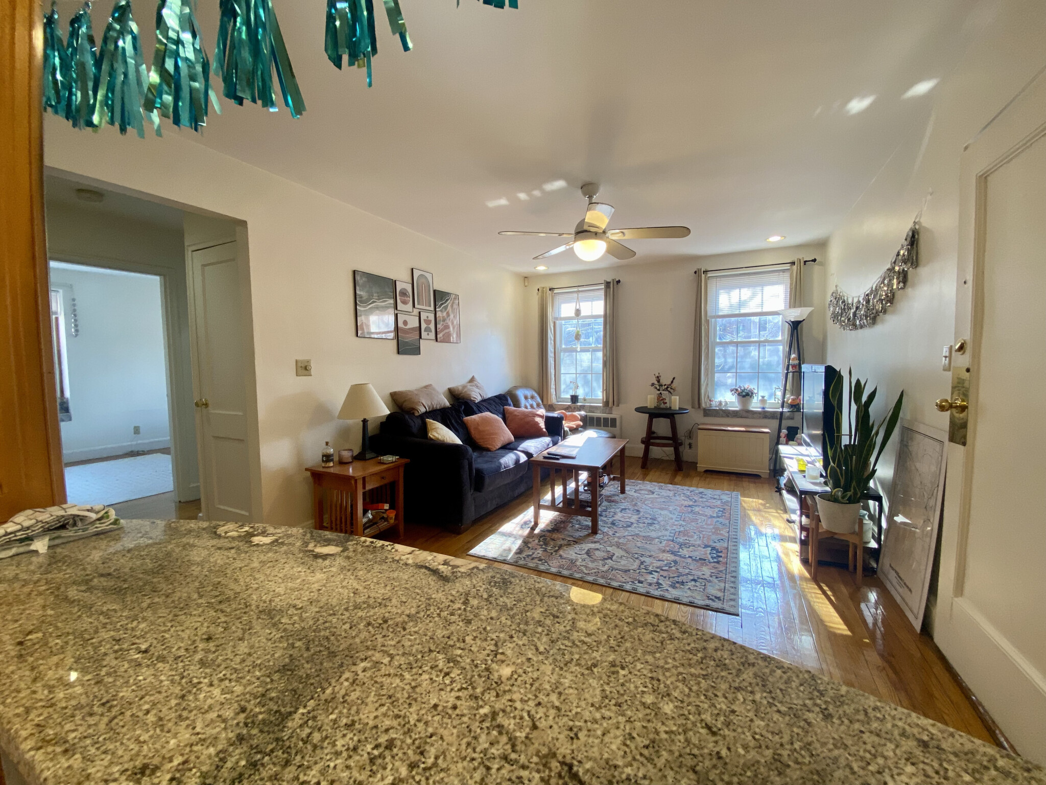 1 Lanark Rd, Washington Square