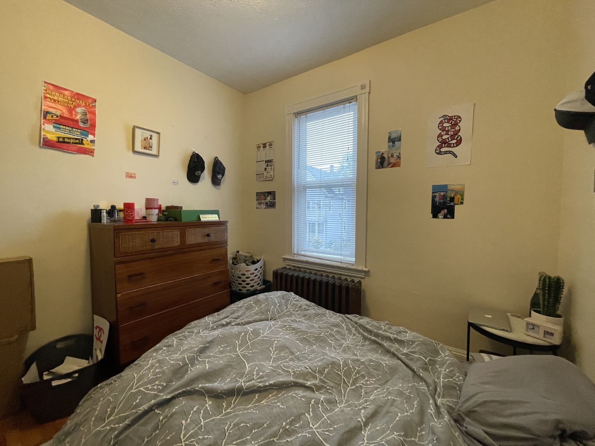 65 Fairbanks St, Brighton