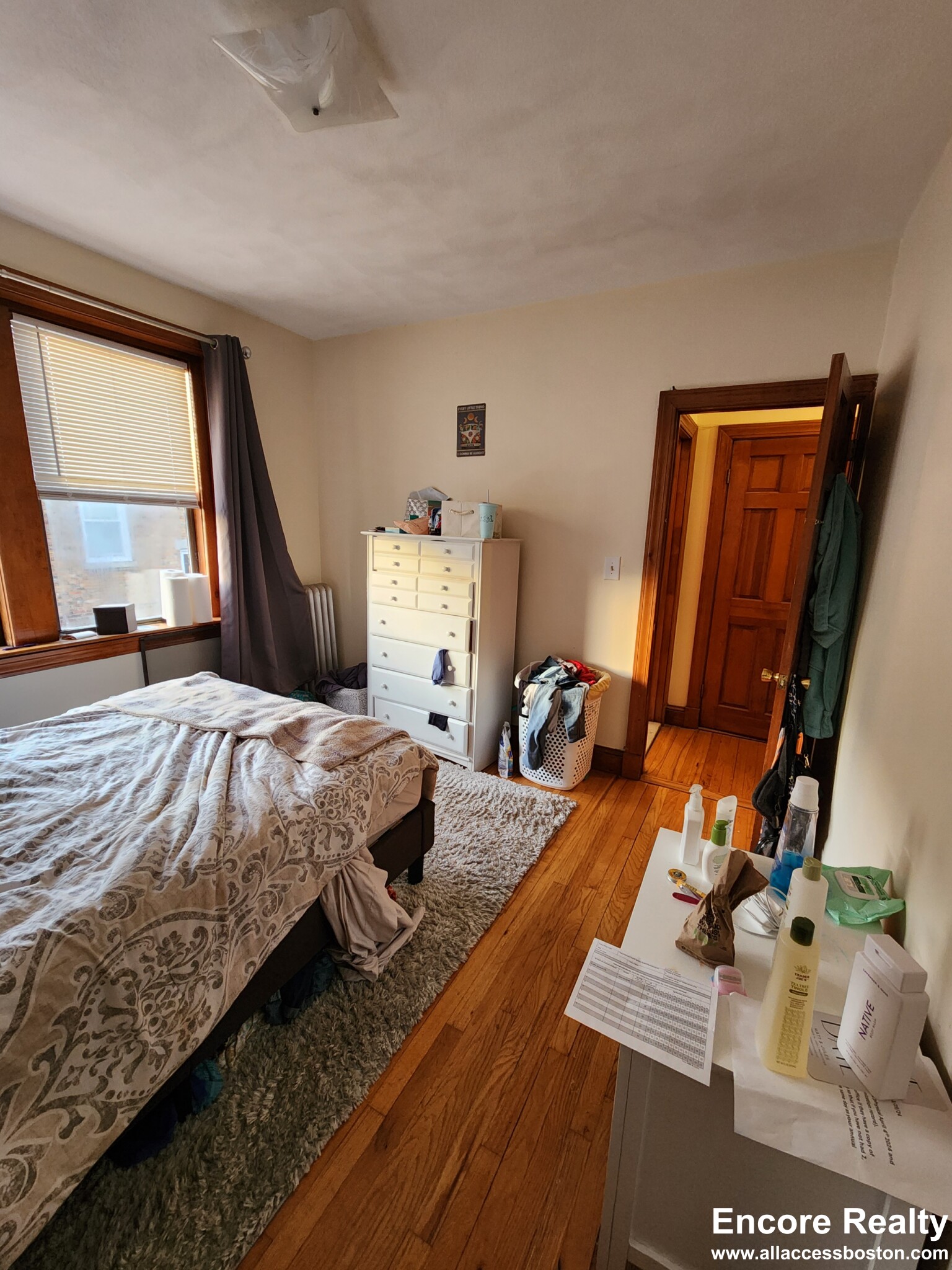 240 Kelton St, Brighton