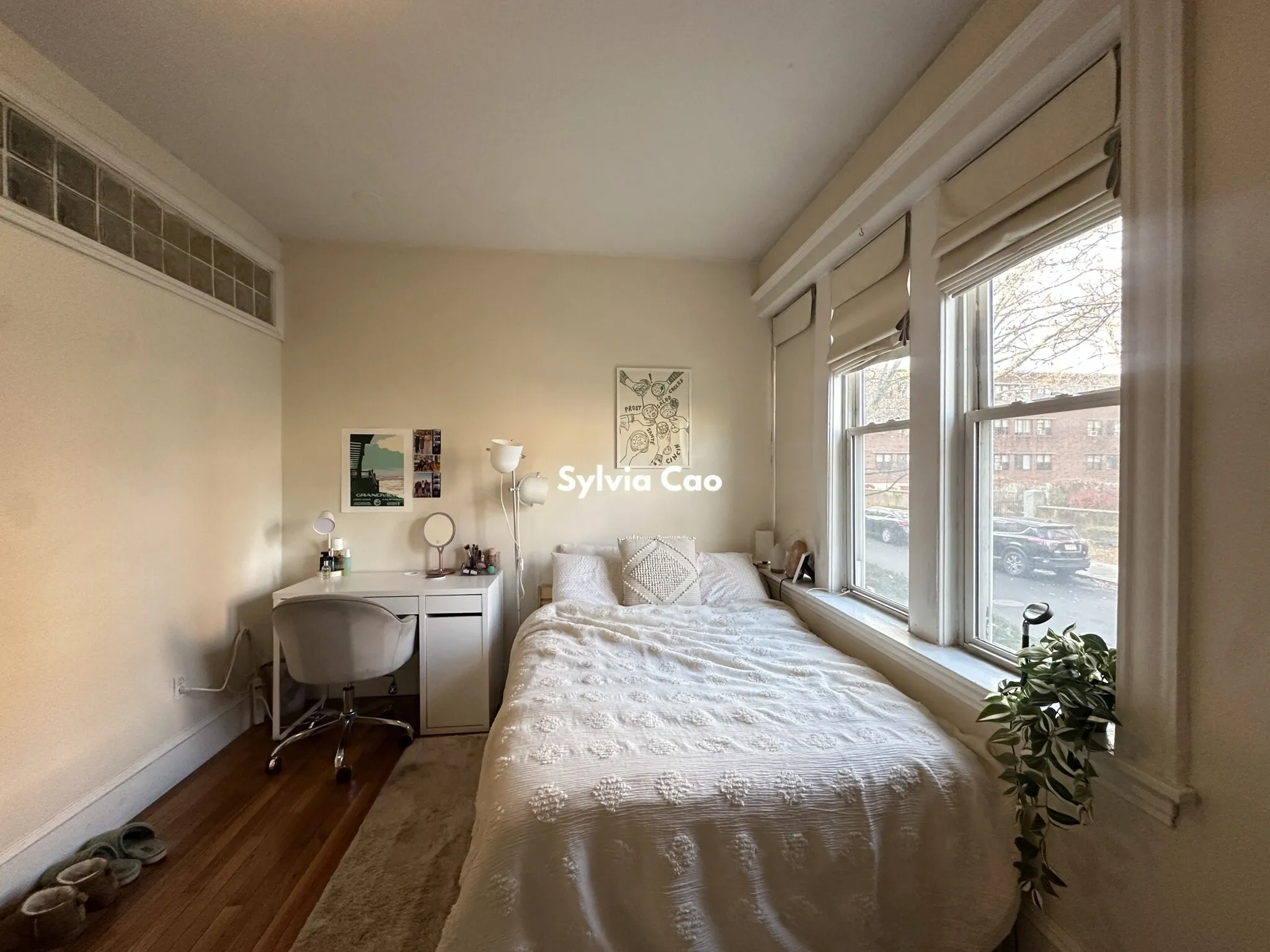 54 Egmont St, North Brookline