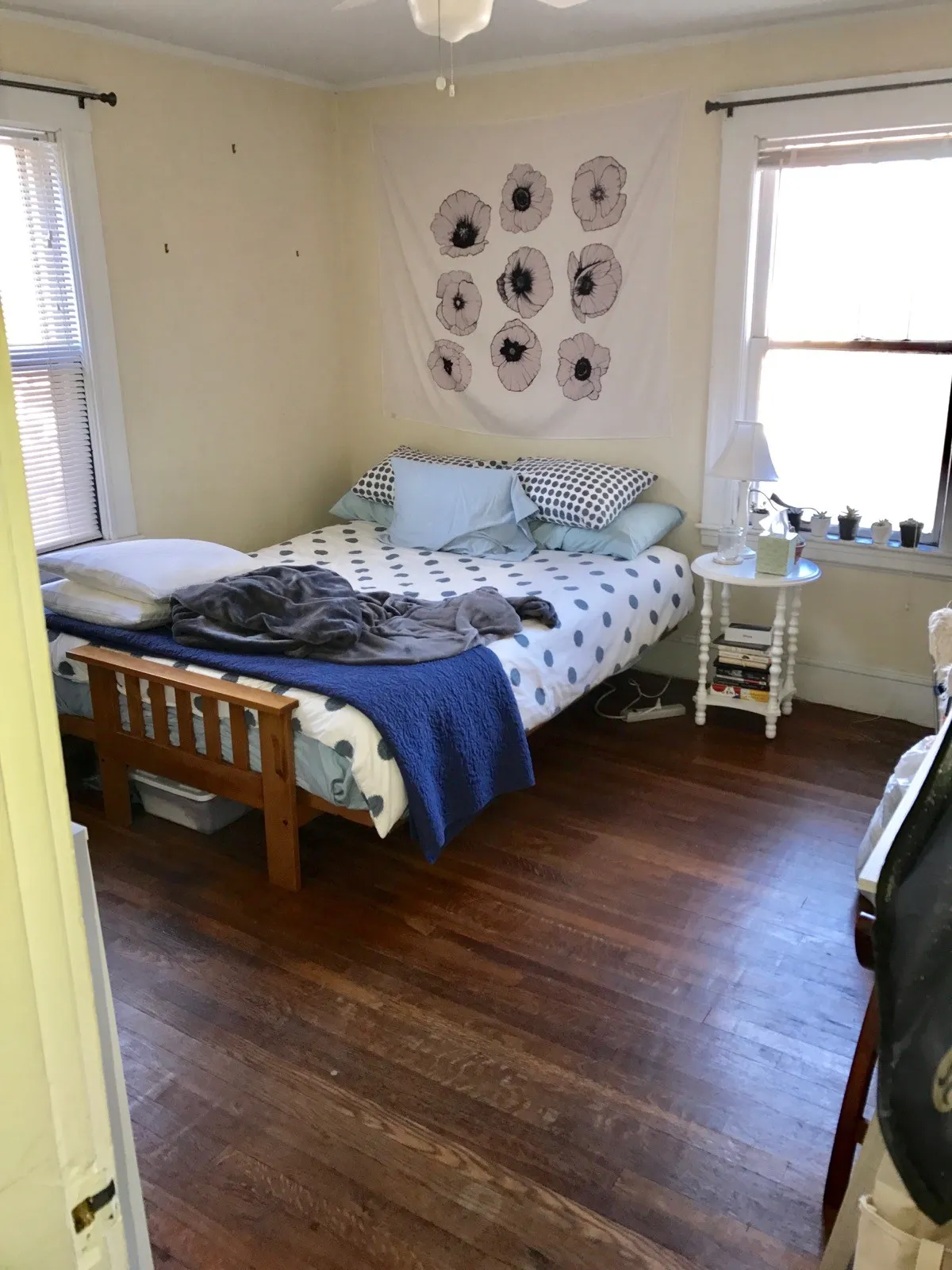 171 Hillside St, Mission Hill