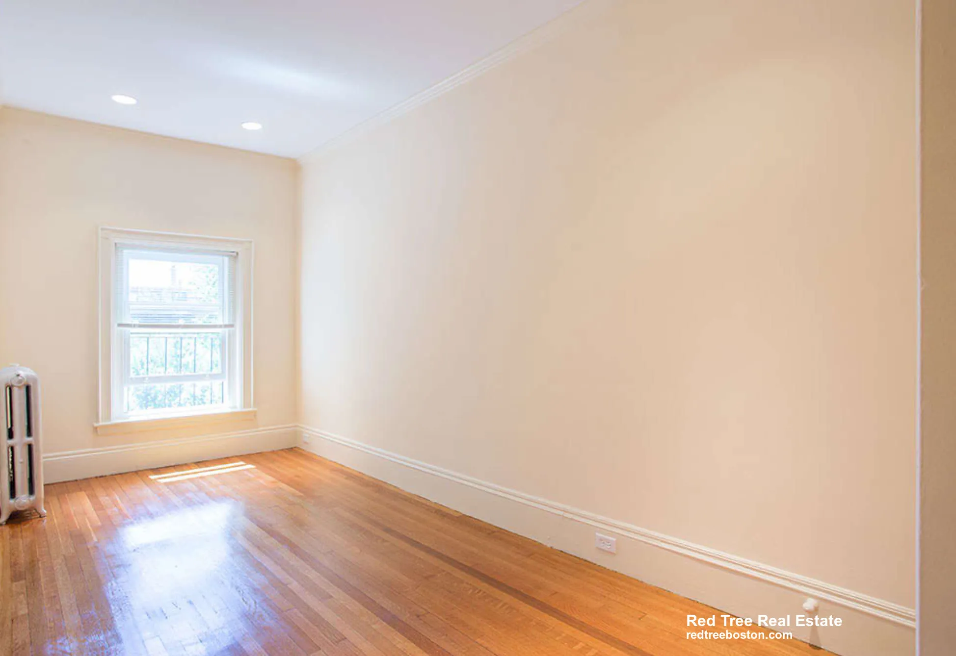 19 Peterborough St, Fenway