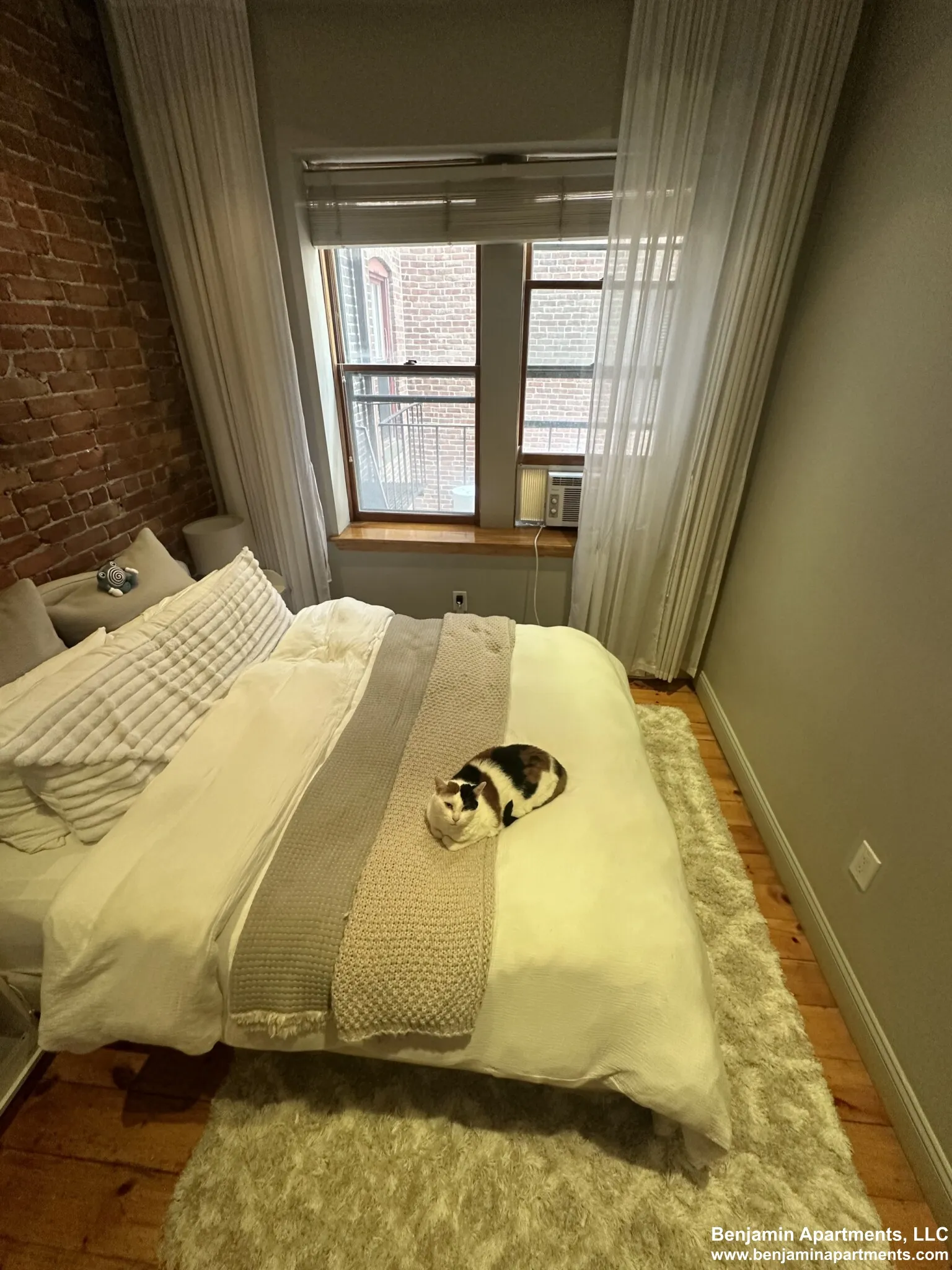 17 Garrison St, Back Bay