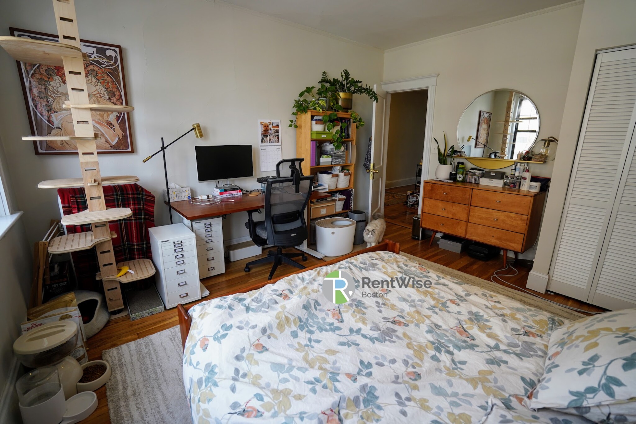 294 Harvard St, Mid-Cambridge