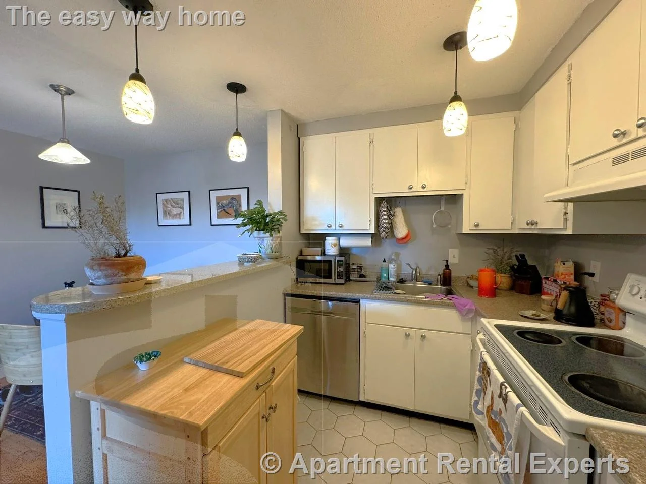 47 Mystic St, Arlington Center