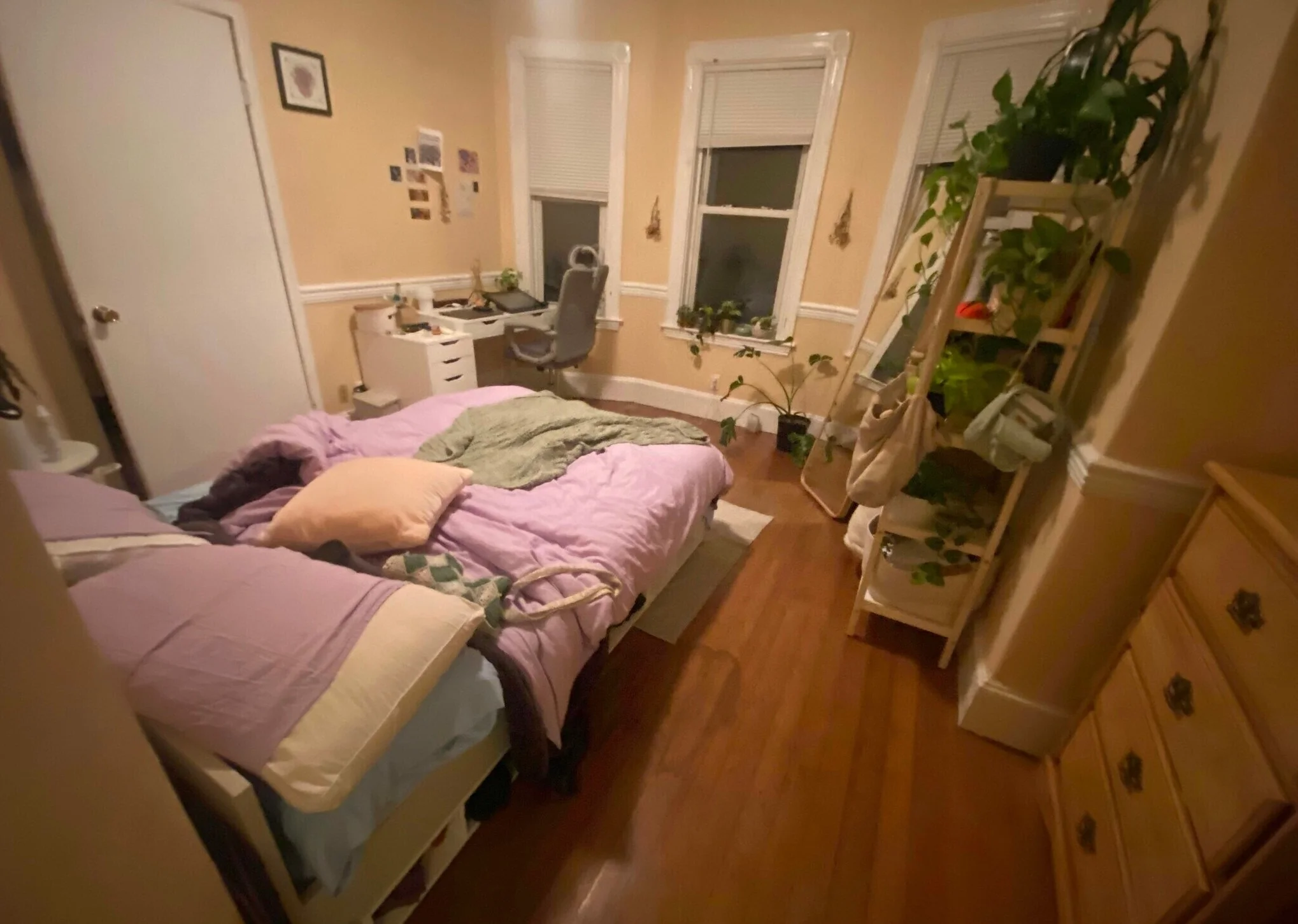 21 Bucknam St, Mission Hill