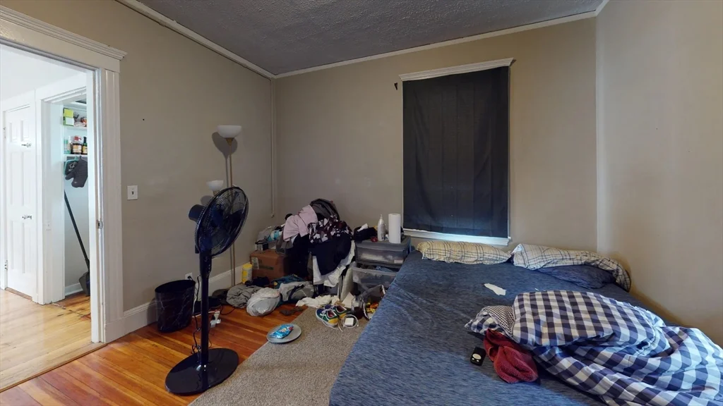 12 Estrella, Jamaica Plain