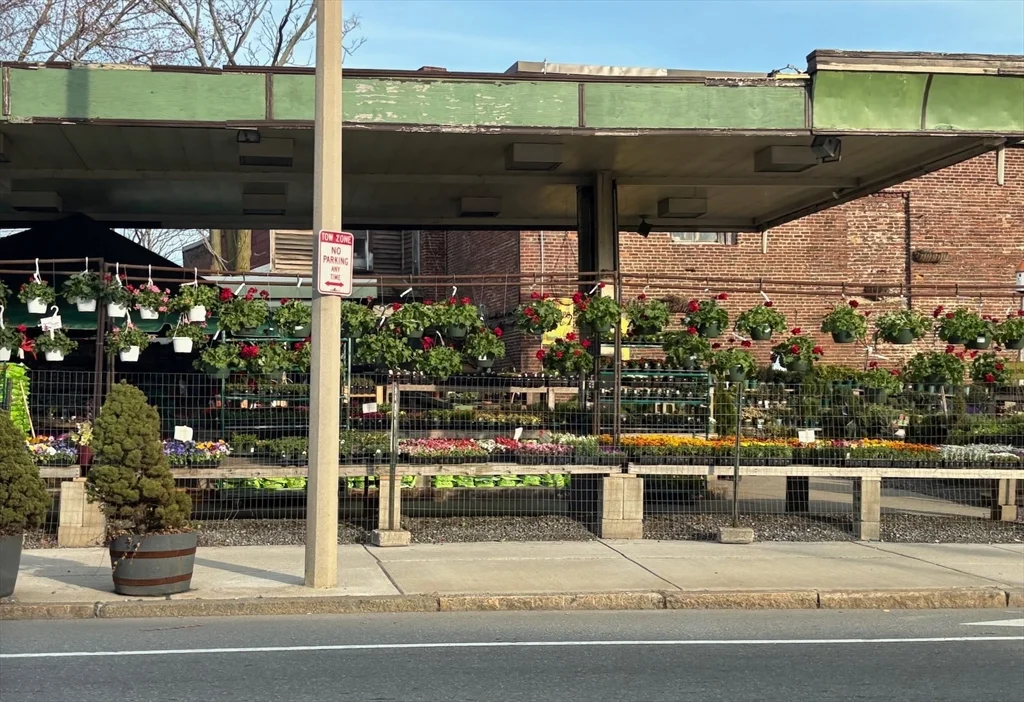 23 Munroe St, Prospect Hill