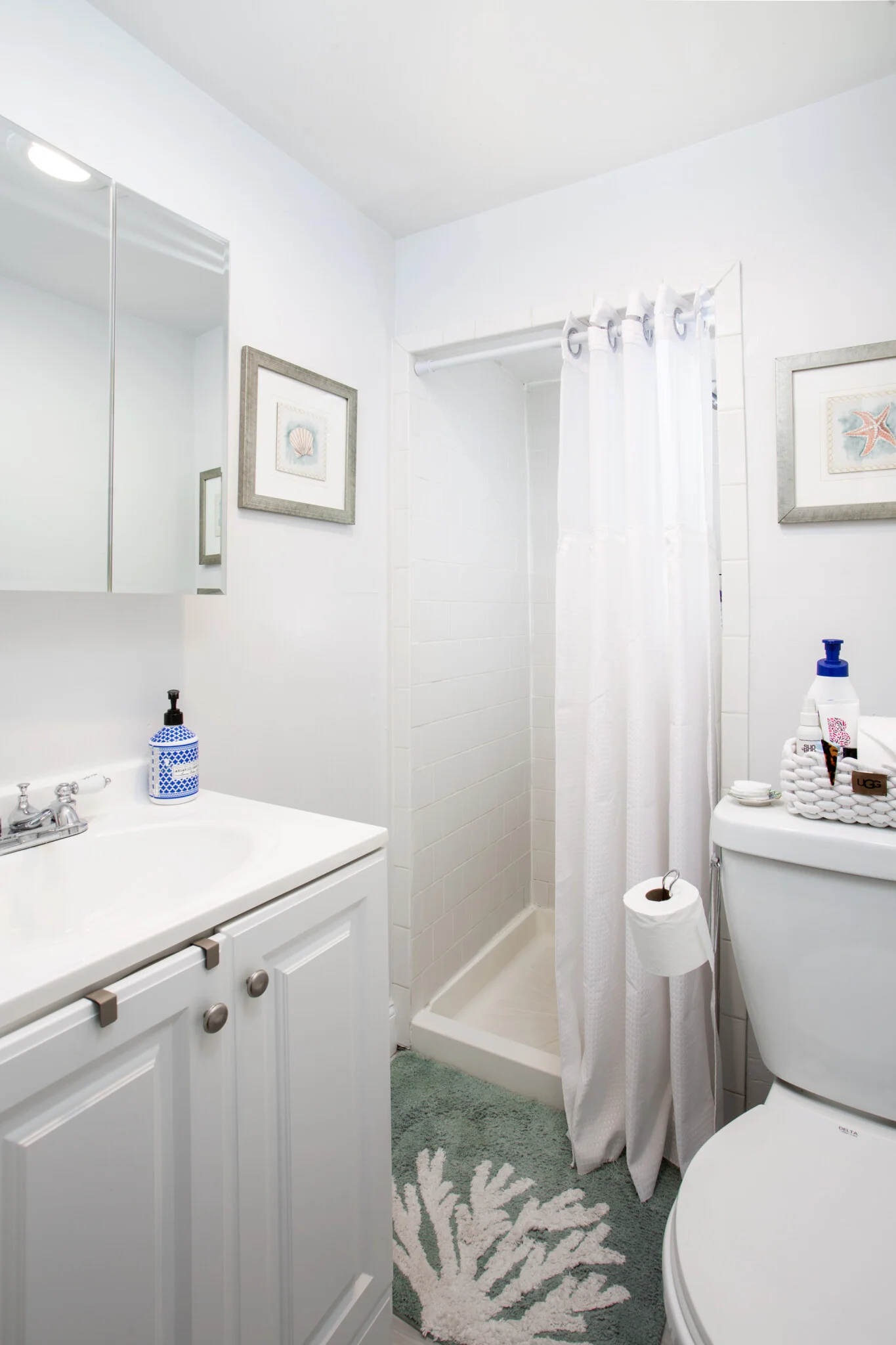 24 Anderson St, Beacon Hill