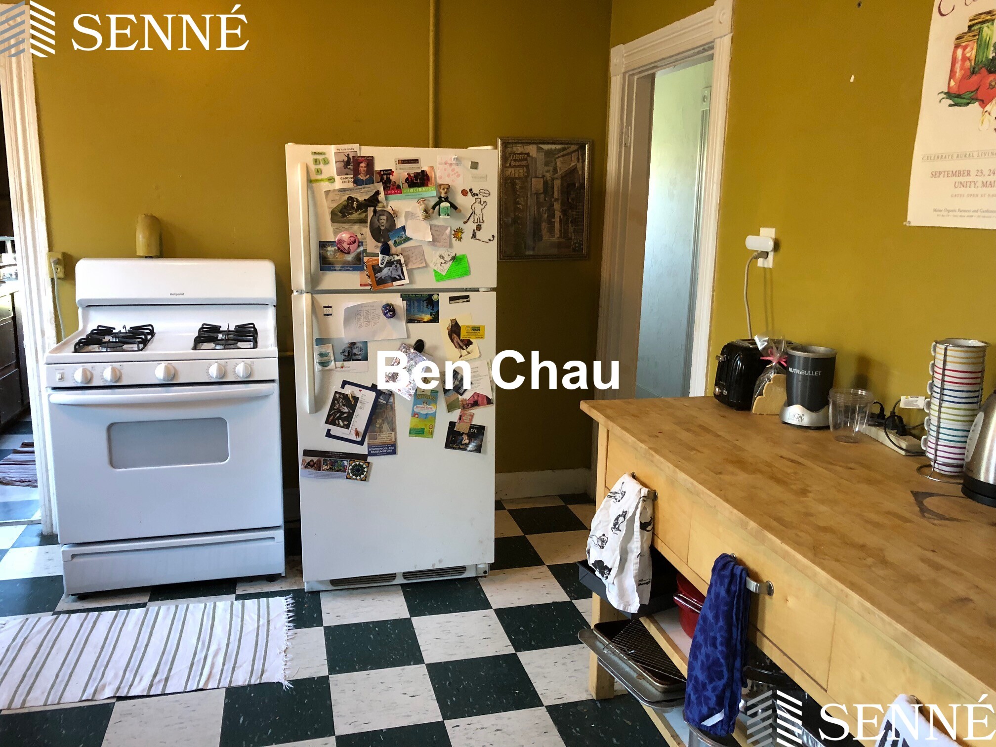 11 Thorndike St, Davis Square