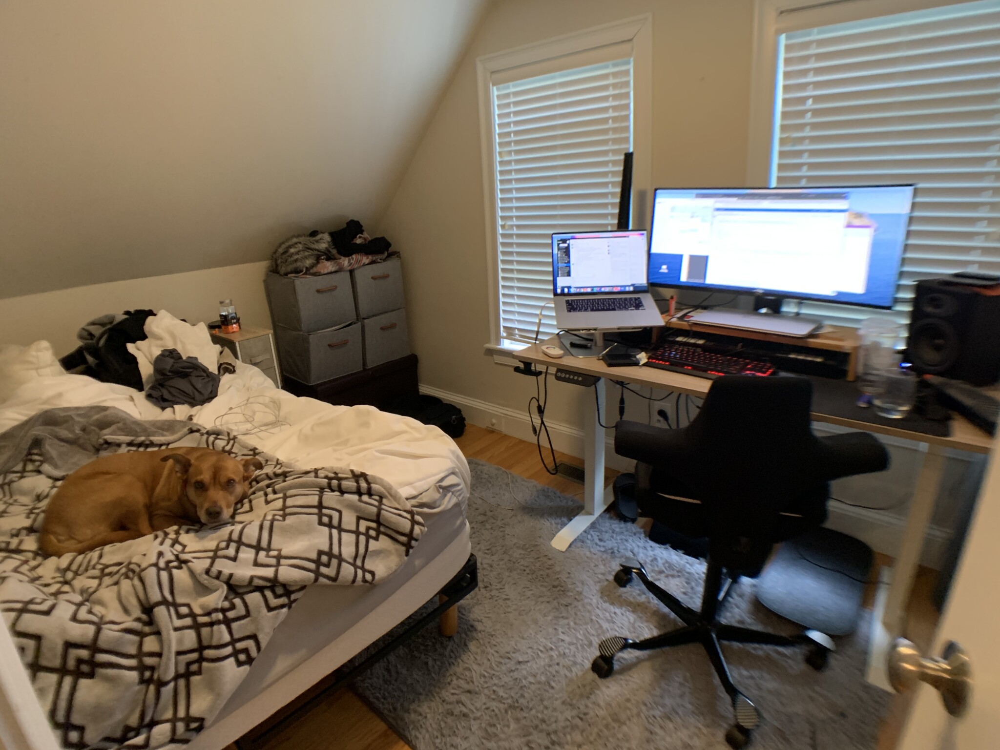 55 Lowell St, Spring Hill