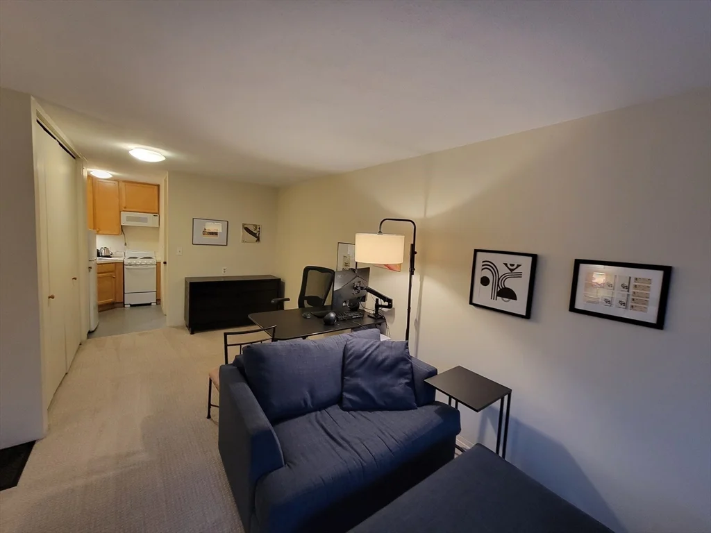 29 Concord Ave, Neighborhood Nine