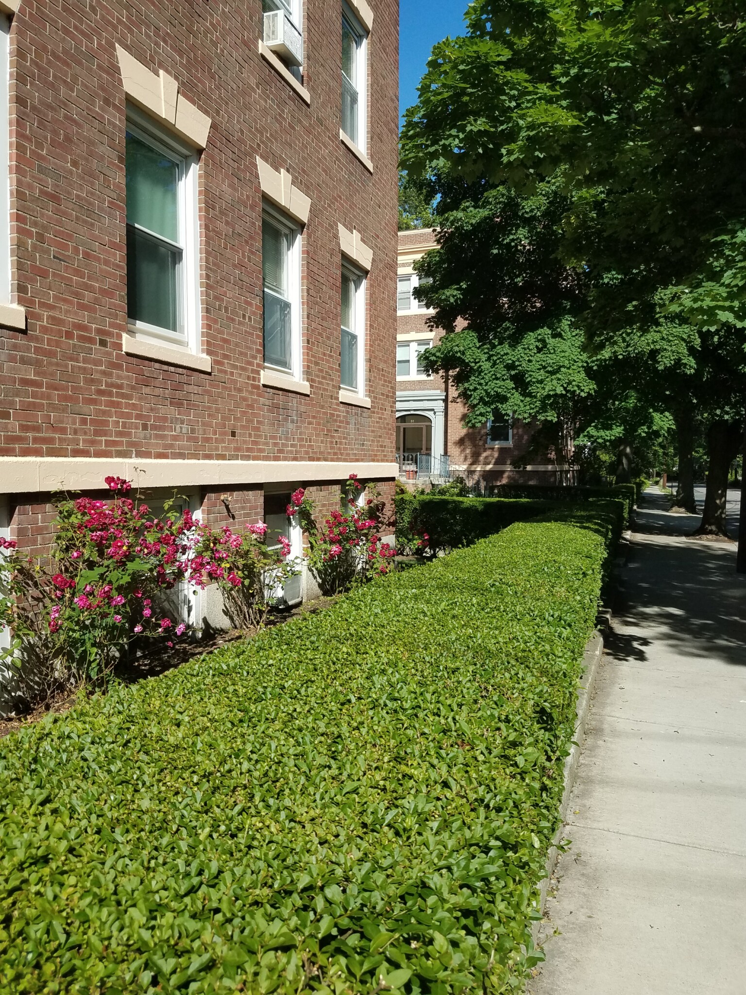 53 Manchester Rd, North Brookline