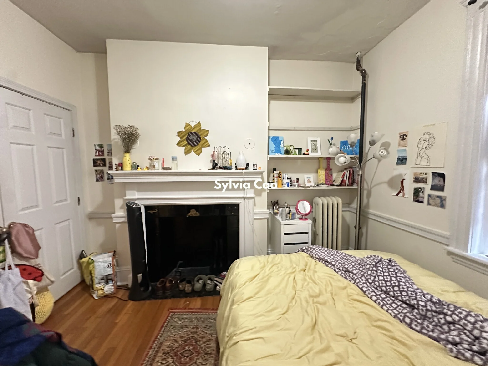 54 Egmont St, North Brookline