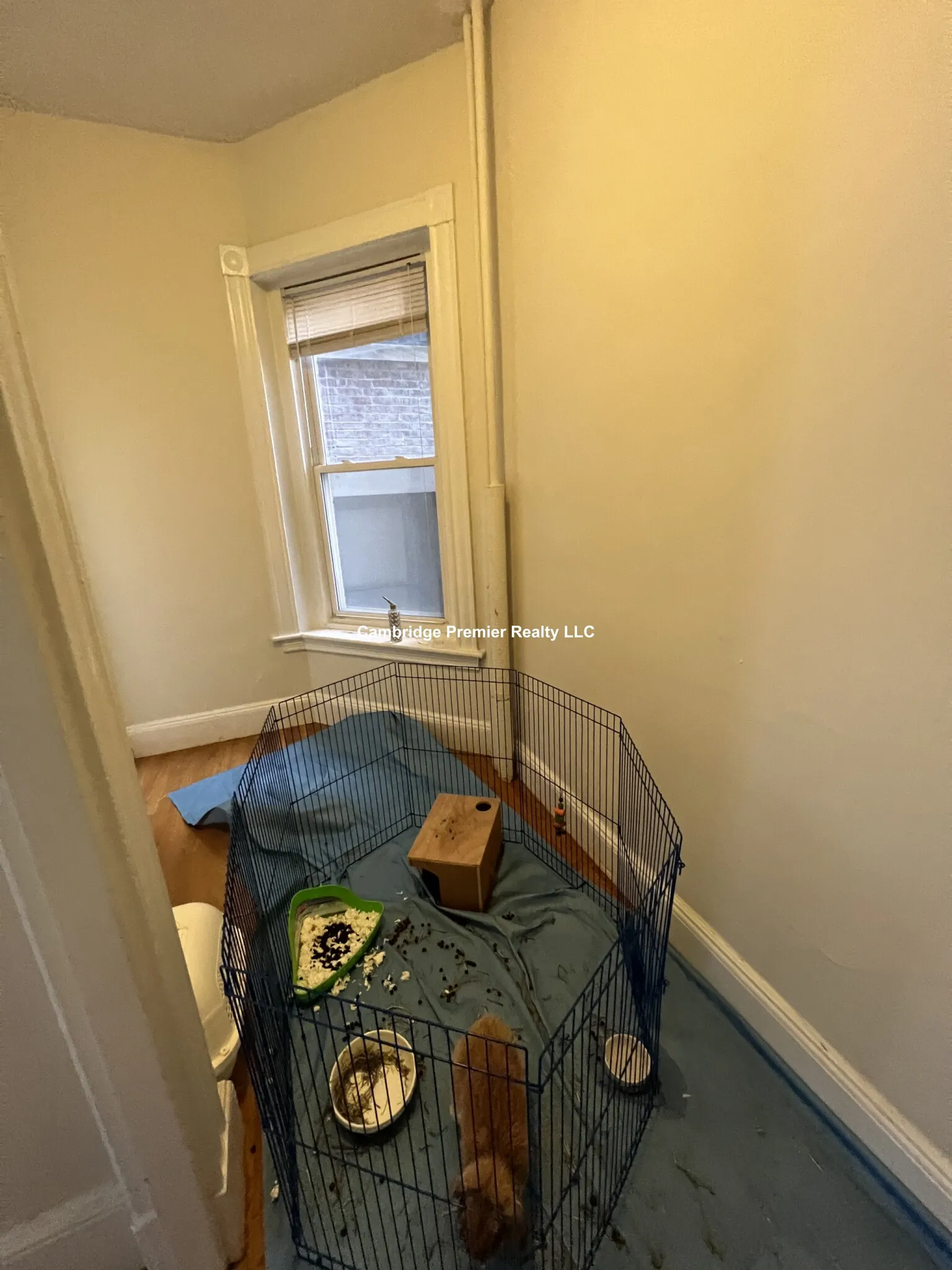 891 Massachusetts Ave, Mid-Cambridge