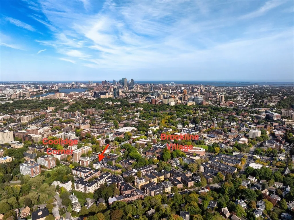 41 Park, Coolidge Corner