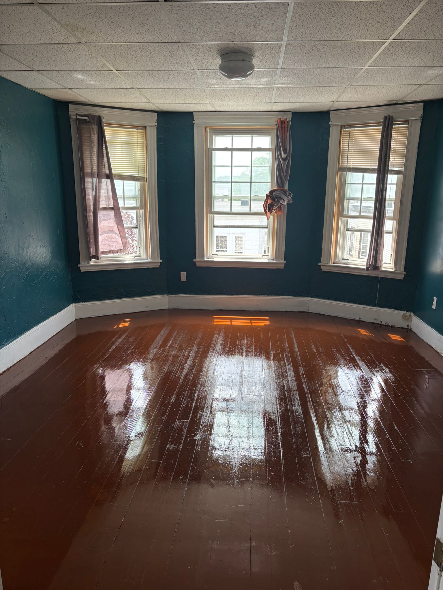 184 Congress Ave, Chelsea