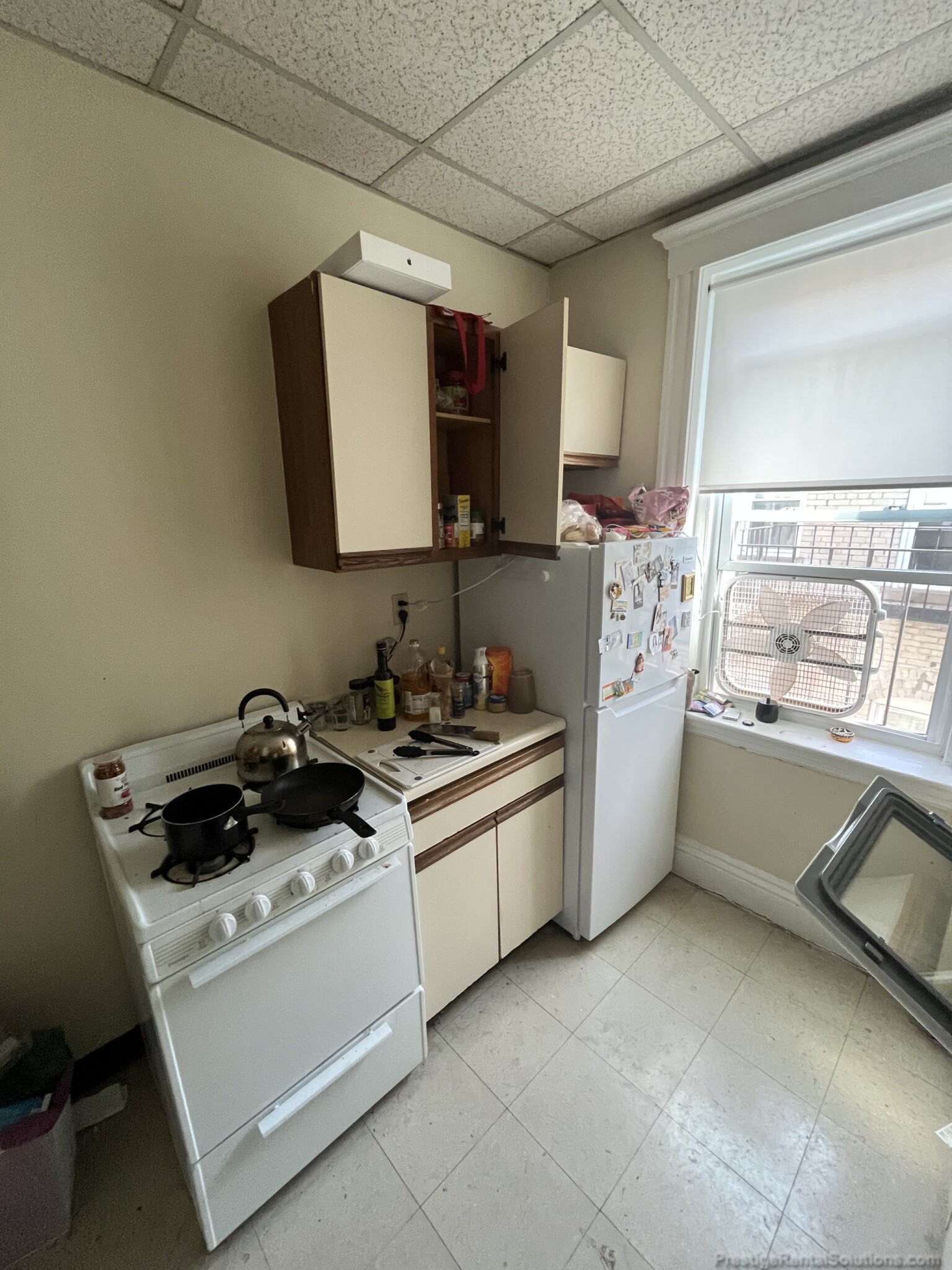 159 Kelton St, Brighton